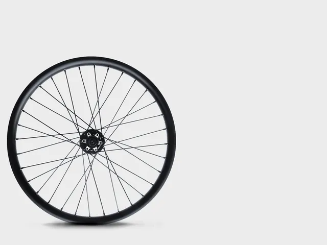 omnium-classic-roue-avant-roue-avant-cargo image 1