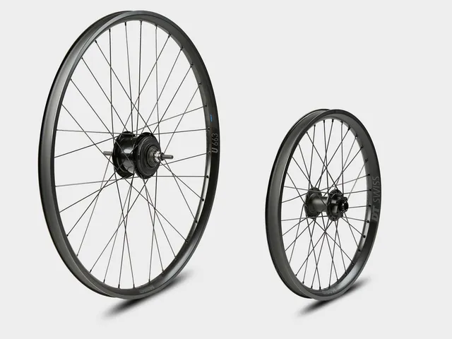 omnium-by-dt-swiss-alfine-8-wheelset-paire-de-roues-cargo image 1