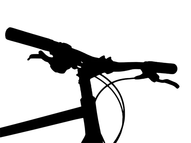 omnium-riser-cintre-rehauss-cargo image 1