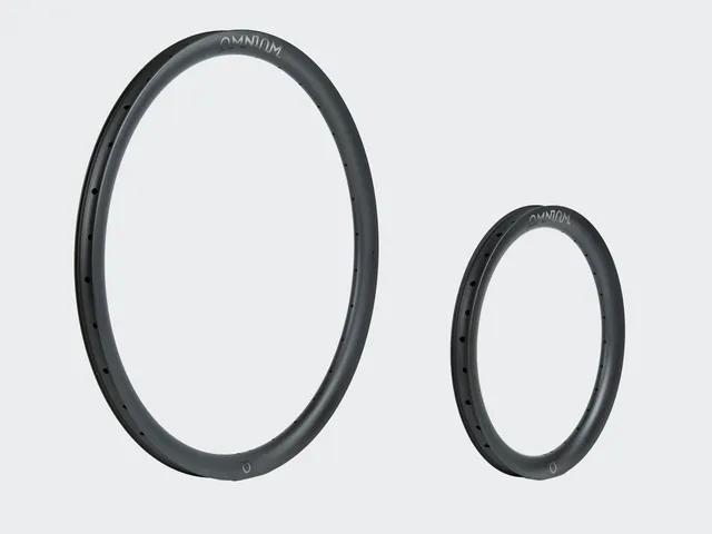 omnium-h29-carbon-paire-de-jantes-cargo image 1