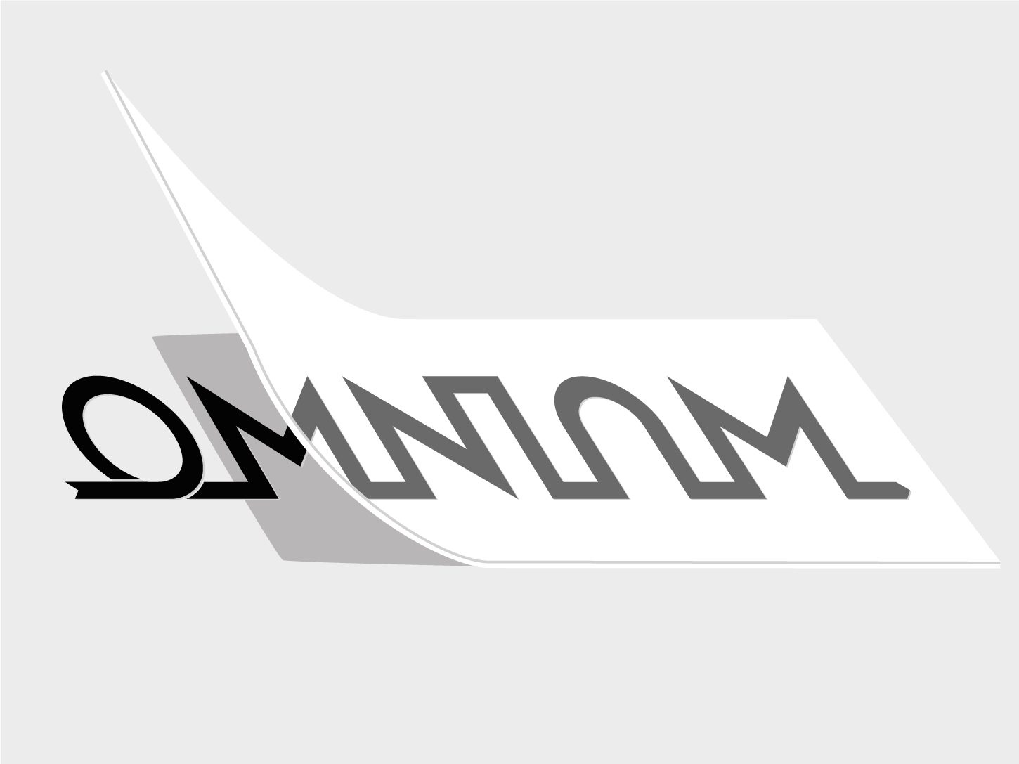 omnium-decals-autocollants-v-lo-cargo image 1