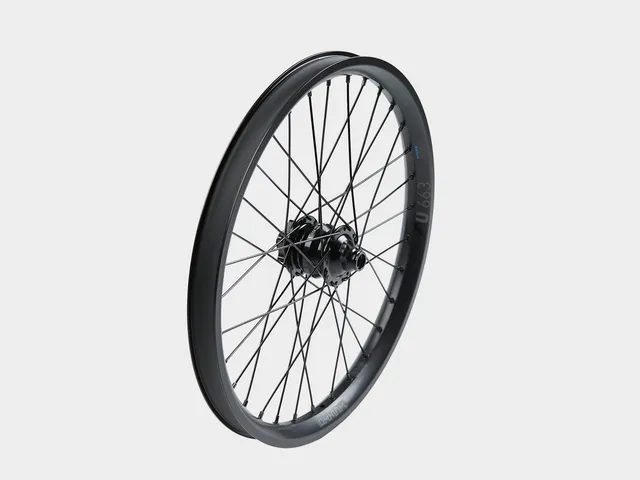 omnium-by-dt-swiss-cargo-dynamo-paire-de-roues-cargo-dynamo image 1