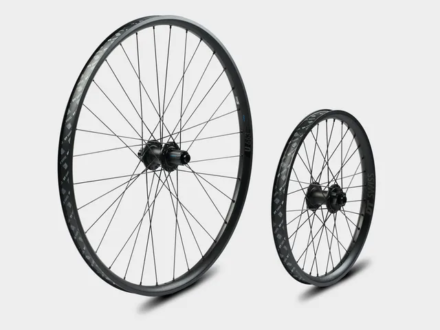 omnium-by-dt-swiss-cargo-wheelset-paire-de-roues-cargo image 1
