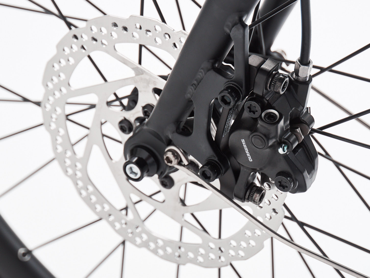 omnium-cargo-classic-v-lo-cargo image 6
