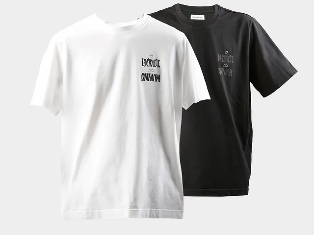 omnium-la-chouette-reflective-t-shirt-t-shirt-r-fl-chissant image 1