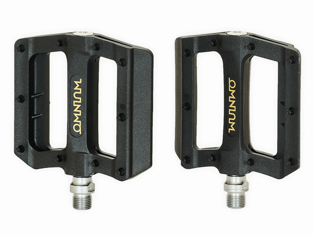 omnium-upgrade-platform-pedals-p-dales-plates image 1