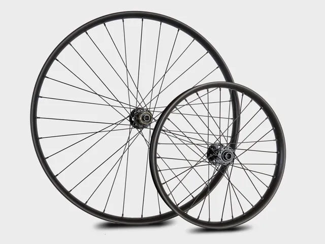 omnium-ta-dynamo-wheel-set-paire-de-roues-dynamo-cargo image 1