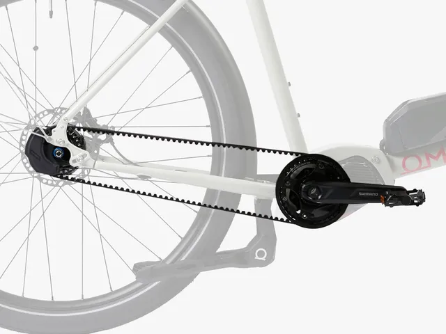 omnium-ep801-drivetrain-nexus-5-kit-motorisation-cargo image 1