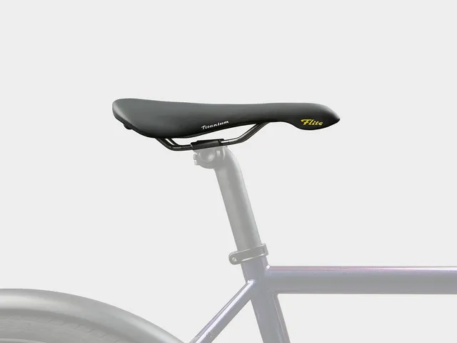 omnium-selle-italia-flite-classic-1990-tit-blk-selle-titane image 1