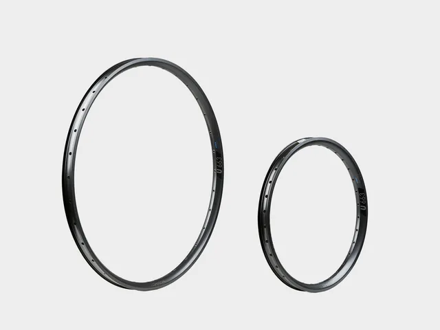 omnium-by-dt-swiss-rim-set-paire-de-jantes-cargo-aluminium image 1