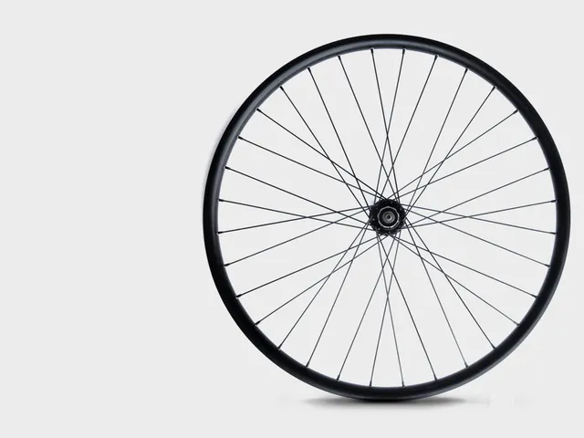 omnium-classic-roue-arri-re-v-lo-cargo image 1