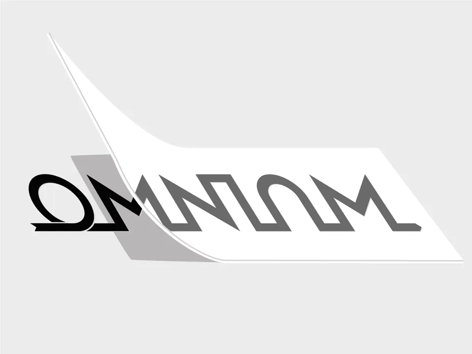 omnium-decals-autocollants-v-lo-cargo image 1