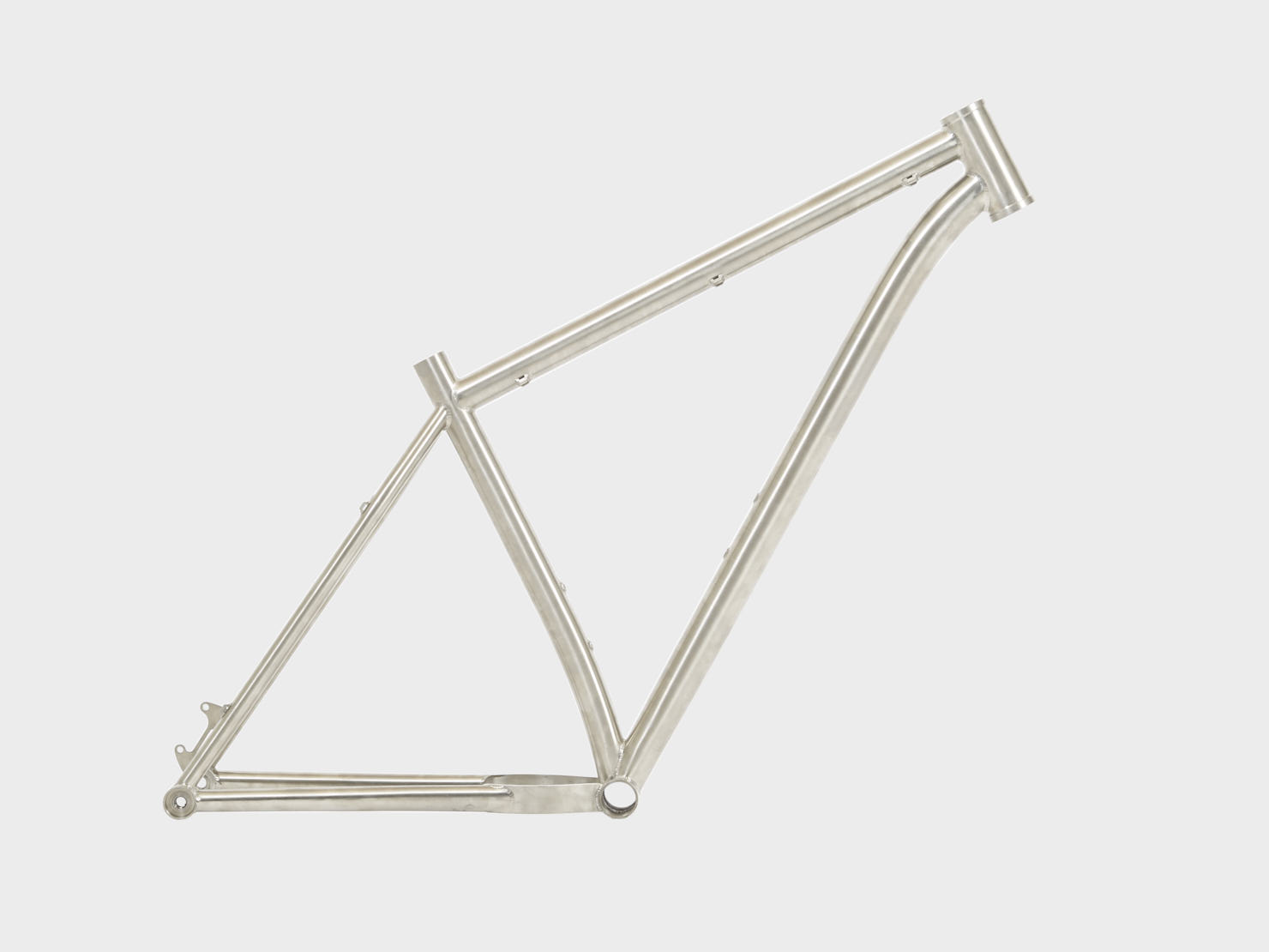 omnium-cadre-vtt-titane-29-hardtail-taille-l image 1