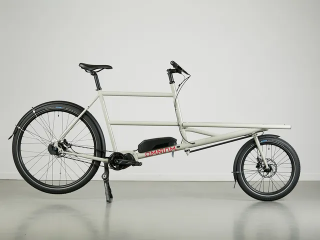 omnium-e-cargo-d-mo-glorius-grey-xl-shimano-ep8-nexus-5 image 1