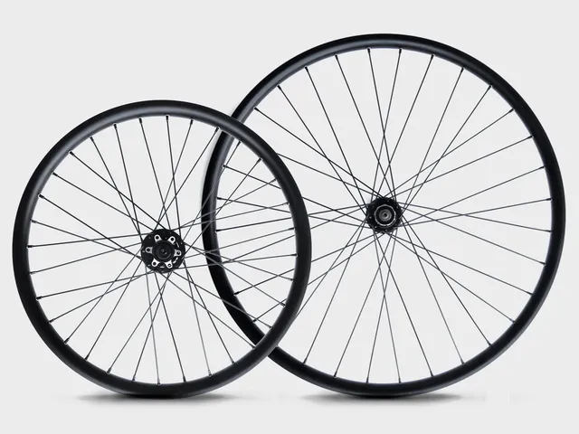omnium-classic-wheels-paire-de-roues-cargo-20-28 image 1