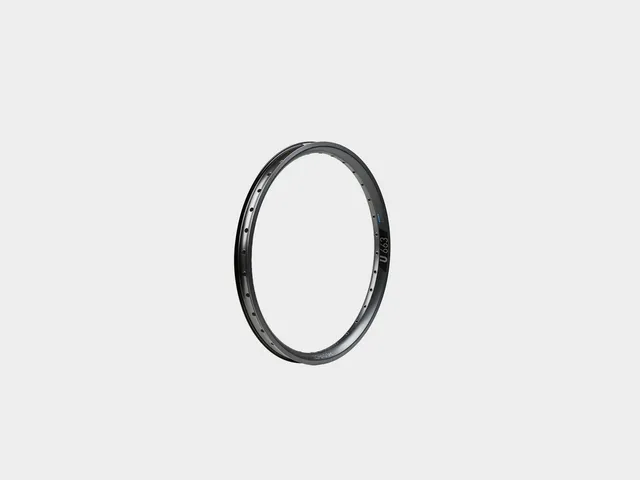 omnium-by-dt-swiss-jante-avant-cargo-oe-aluminium image 1
