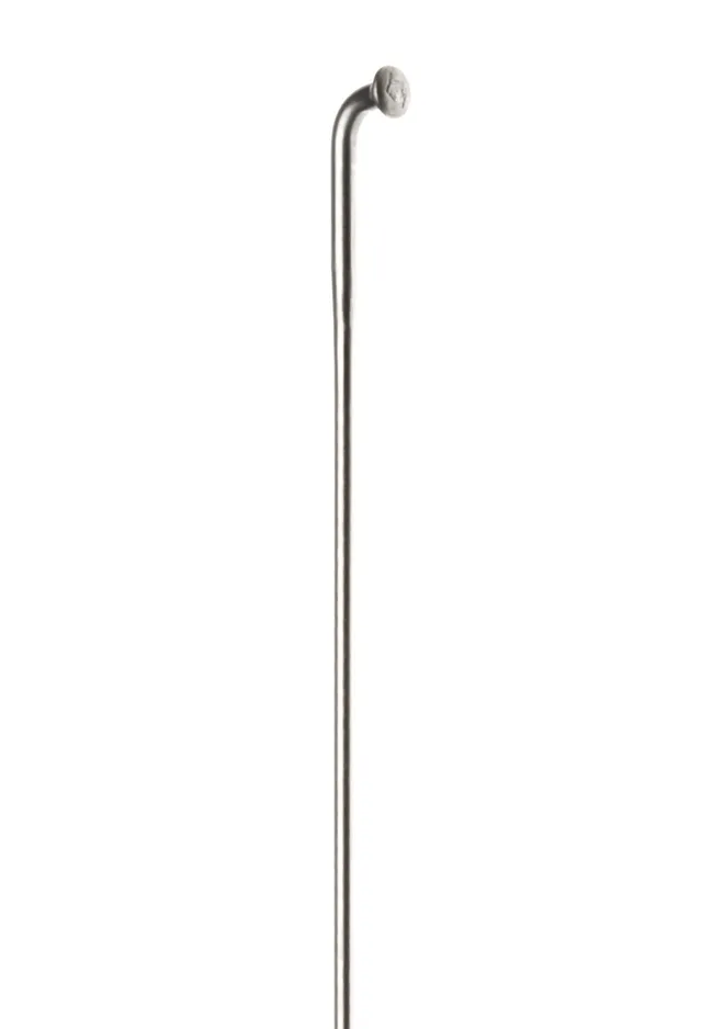 omnium-dt-swiss-competition-spokes-argent-280mm-rayon-cargo image 1