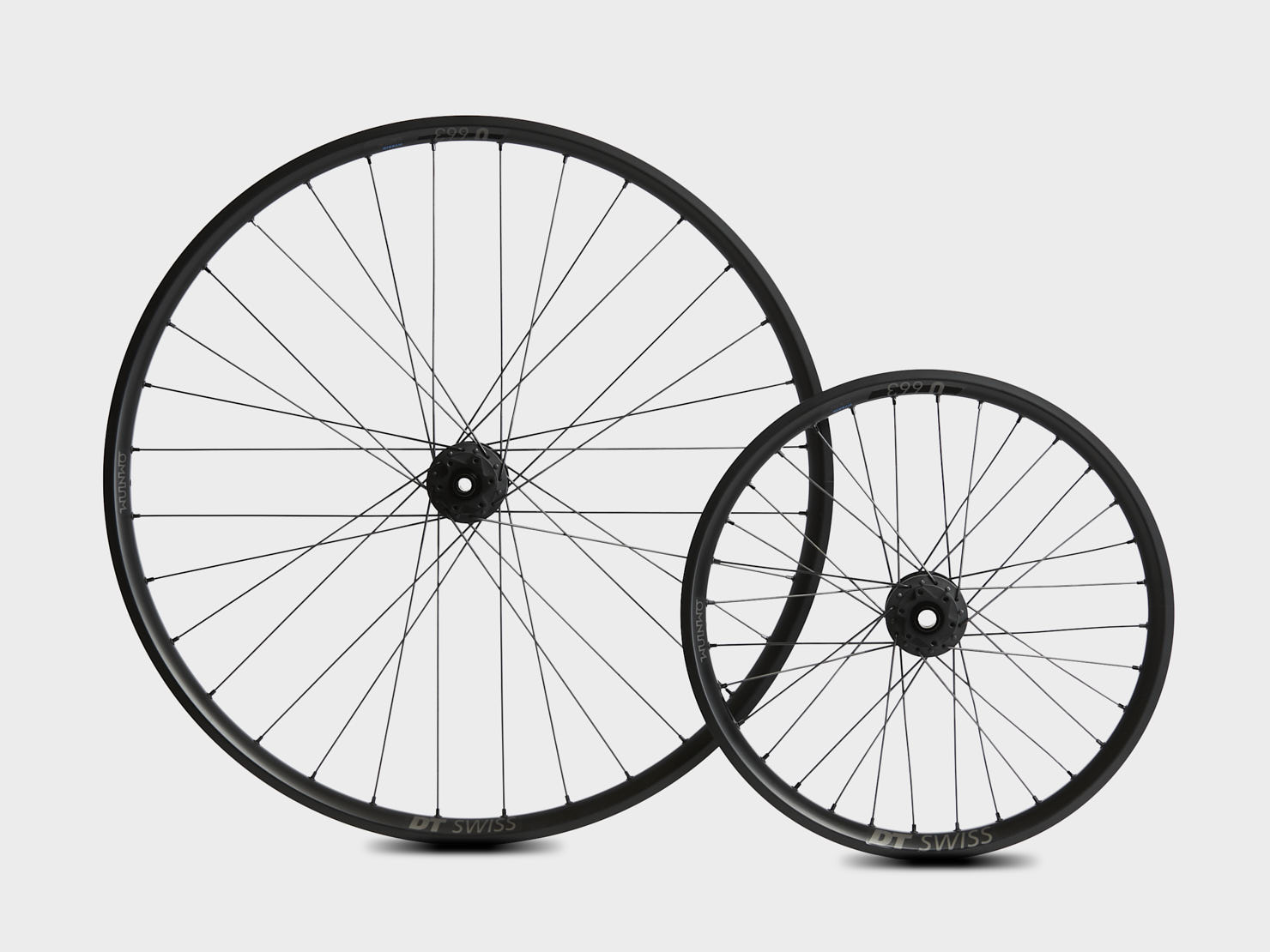 omnium-by-dt-swiss-cargo-wheelset-paire-de-roues-cargo image 2